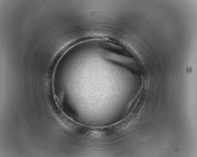 X0000090970352200708161840