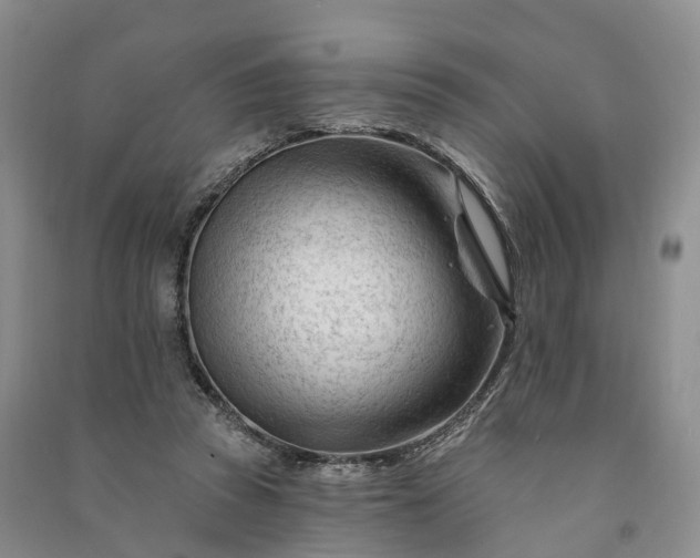 X0000090970353200708161840