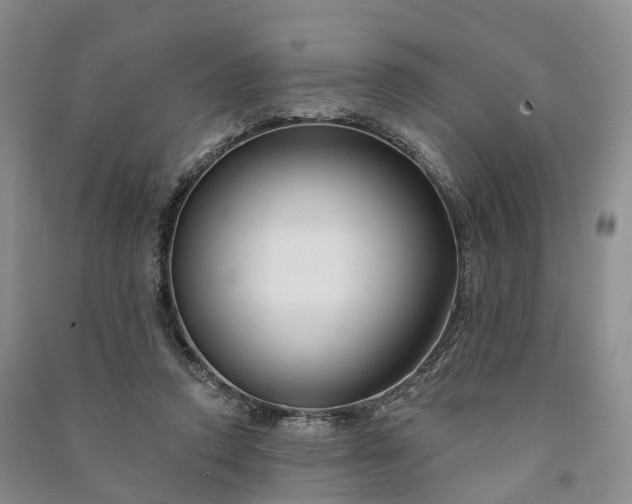 X0000090970354200708161840