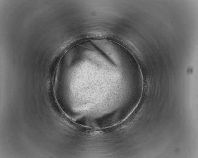 X0000090970355200708161840