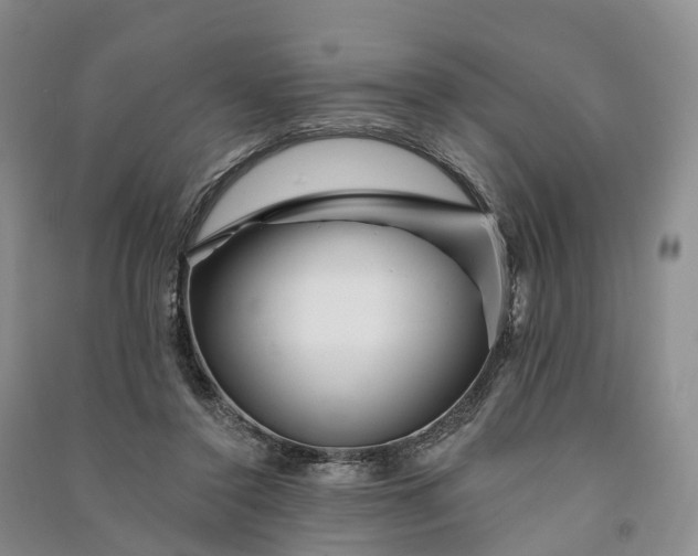 X0000090970356200708161840