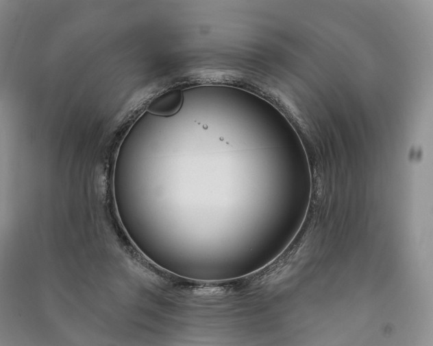 X0000090970357200708161840