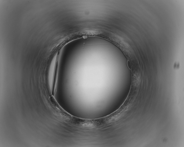 X0000090970358200708161840