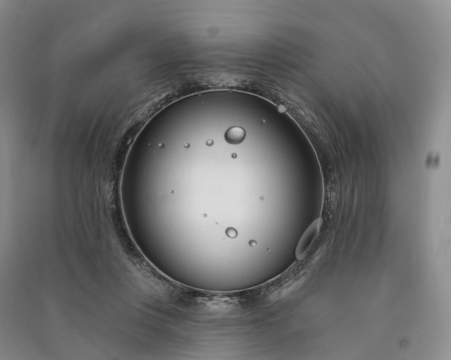 X0000090970359200708161840