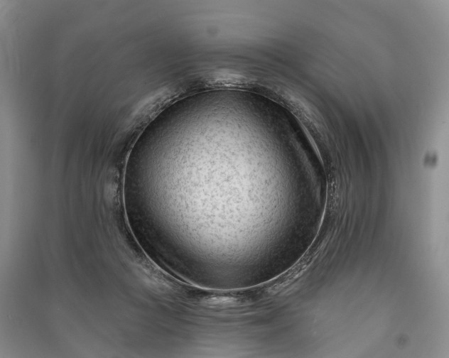 X0000090970361200708161840