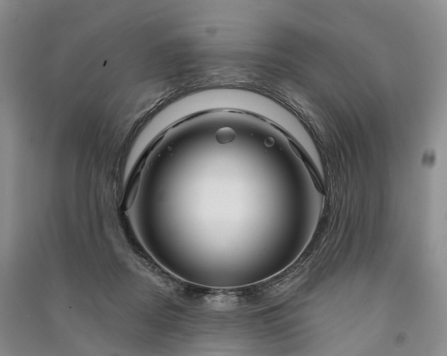 X0000090970362200708161840