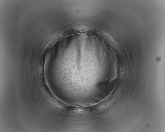 X0000090970365200708161840