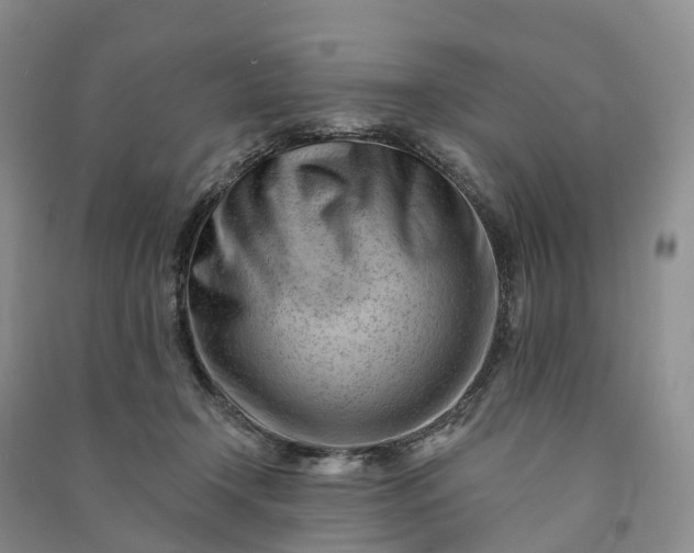 X0000090970366200708161840