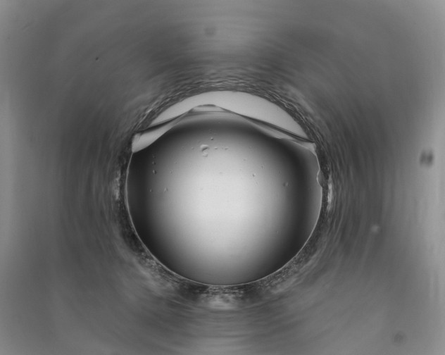 X0000090970368200708161840