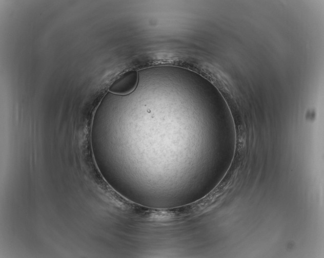 X0000090970369200708161840