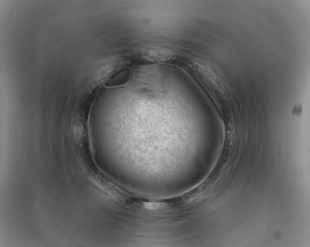 X0000090970371200708161840