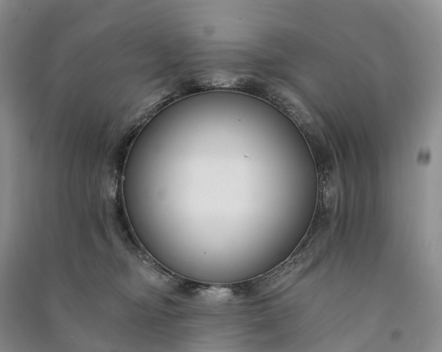 X0000090970374200708161840