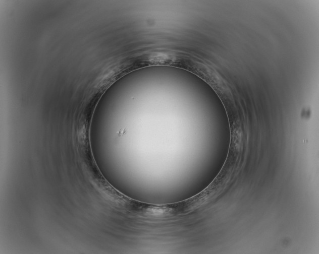 X0000090970375200708161840