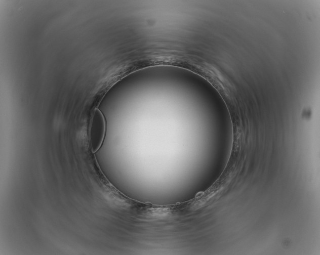 X0000090970377200708161840