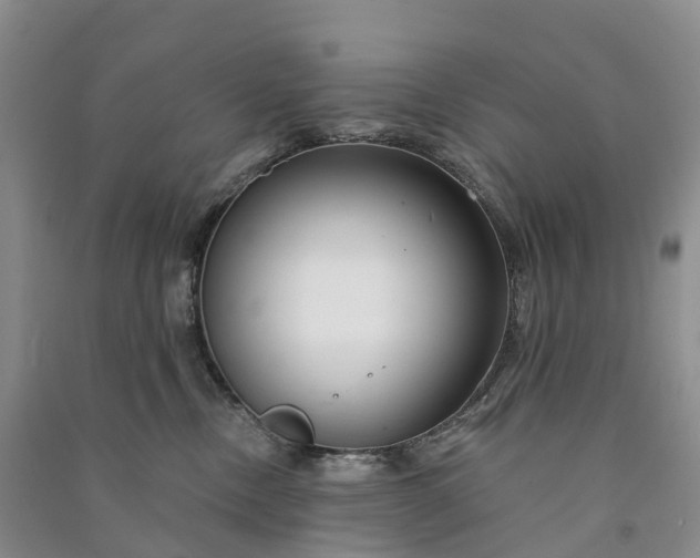 X0000090970378200708161840