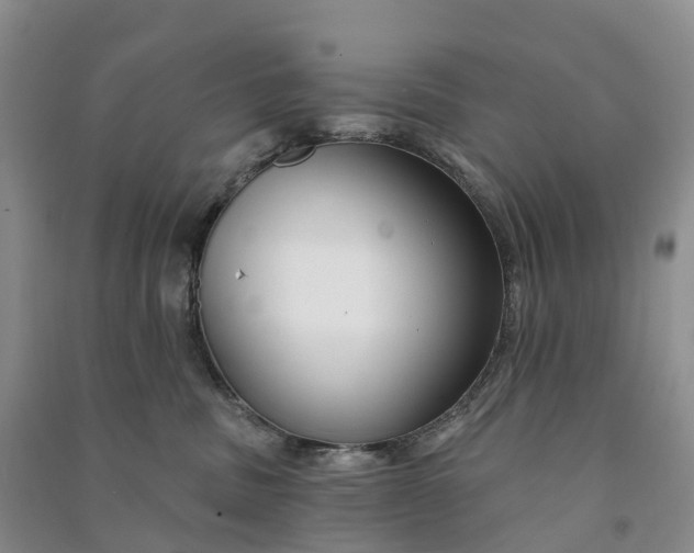 X0000090970379200708161840