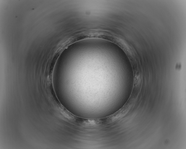 X0000090970381200708161840