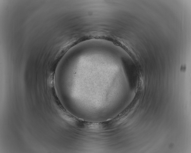 X0000090970383200708161840