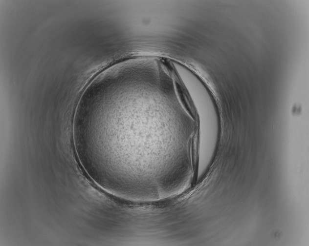 X0000090970385200708161840