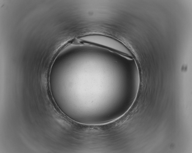 X0000090970386200708161840