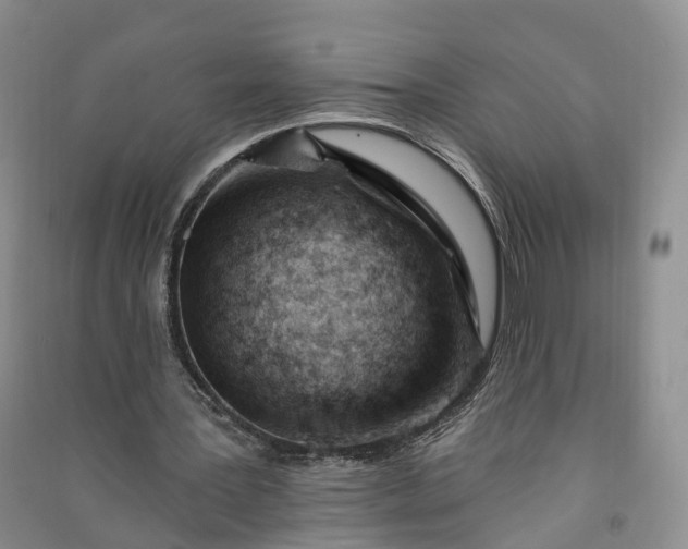 X0000090970387200708161840