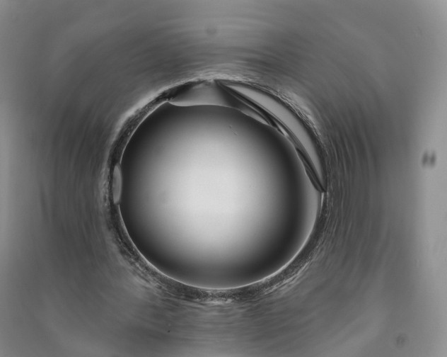 X0000090970388200708161840