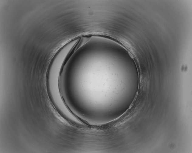 X0000090970389200708161840