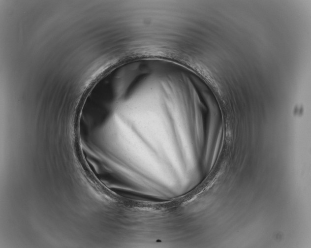 X0000090970390200708161840