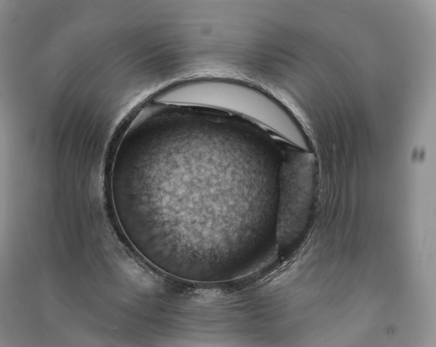 X0000090970391200708161840