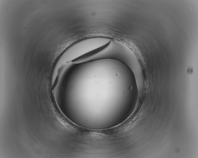 X0000090970393200708161840