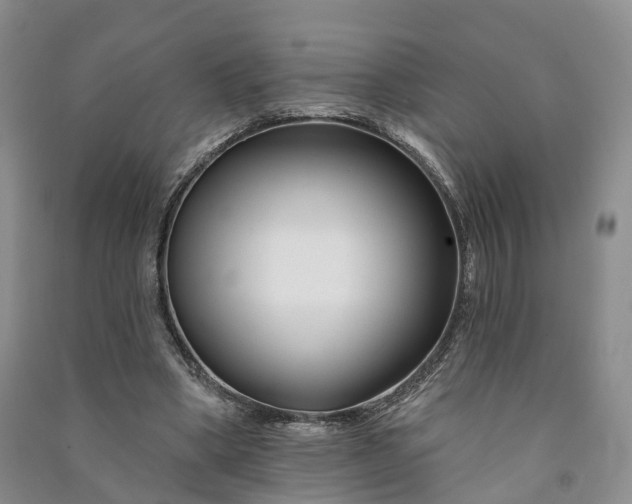 X0000090970394200708161840