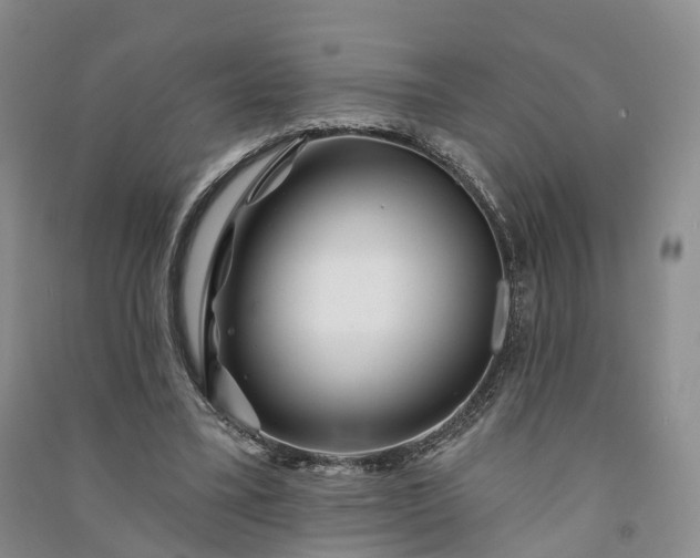 X0000090970395200708161840