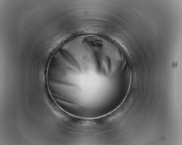 X0000090970398200708161840