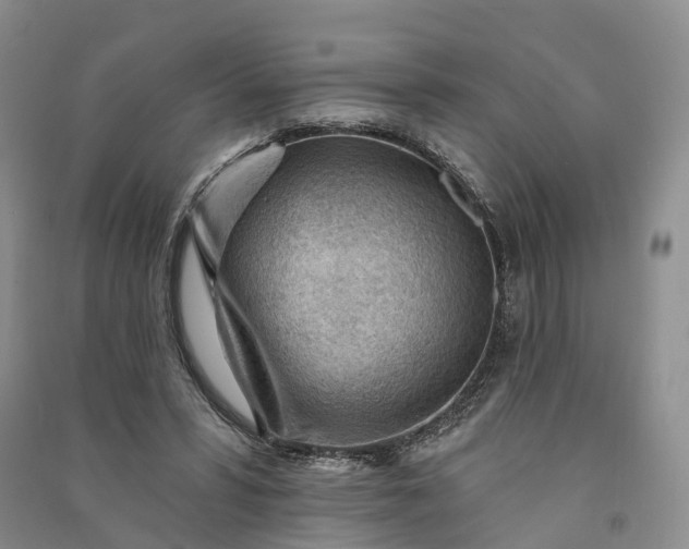 X0000090970399200708161840