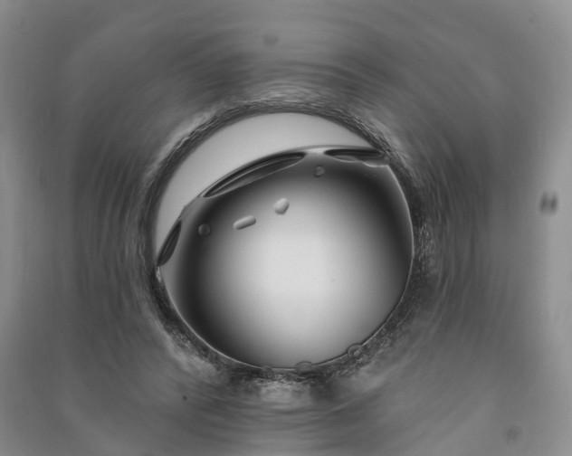 X0000090970400200708161840