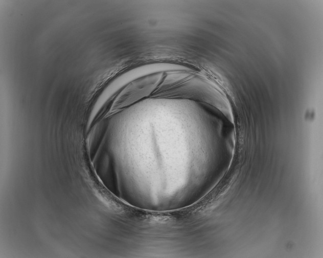 X0000090970401200708161840