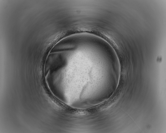 X0000090970402200708161840