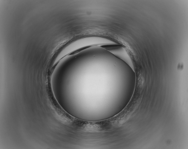 X0000090970403200708161840