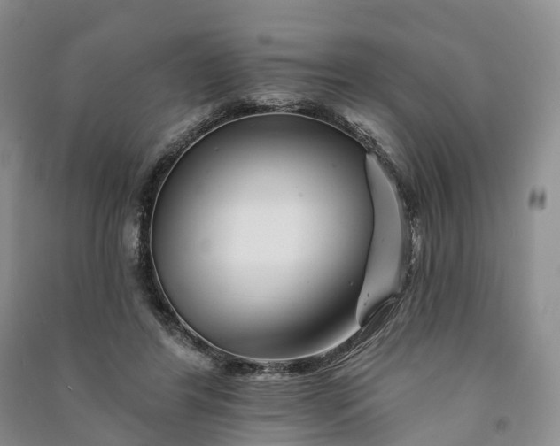 X0000090970404200708161840