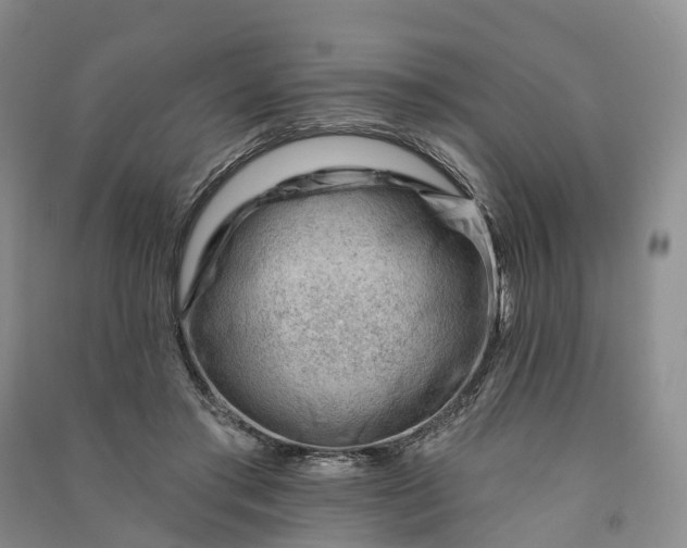 X0000090970405200708161840