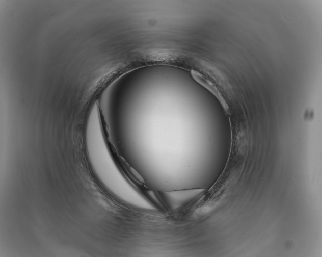 X0000090970407200708161840