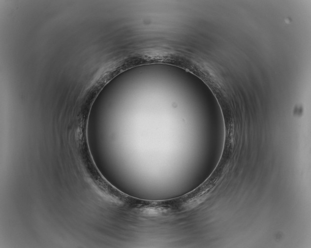 X0000090970408200708161840