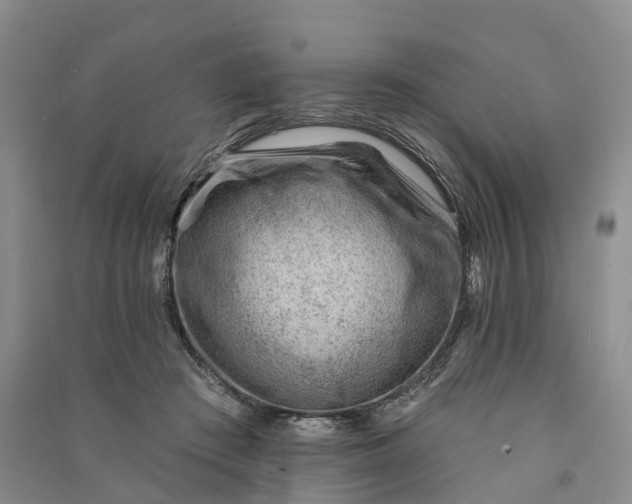 X0000090970409200708161840