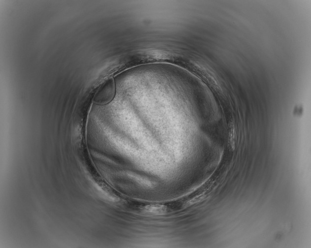 X0000090970410200708161840