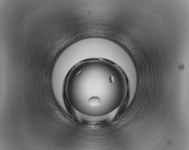 X0000090970411200708161840