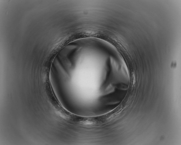 X0000090970412200708161839