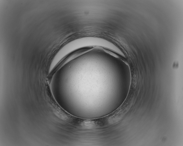 X0000090970413200708161839