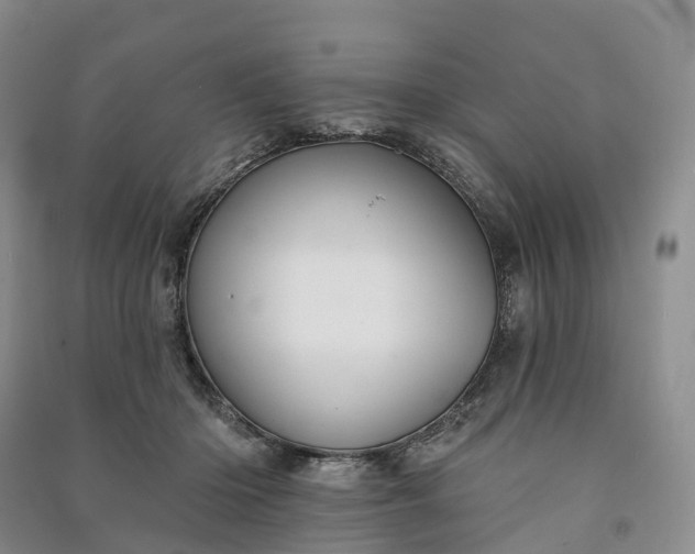 X0000090970414200708161839