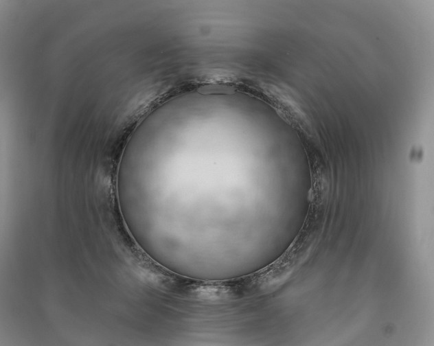 X0000090970415200708161839