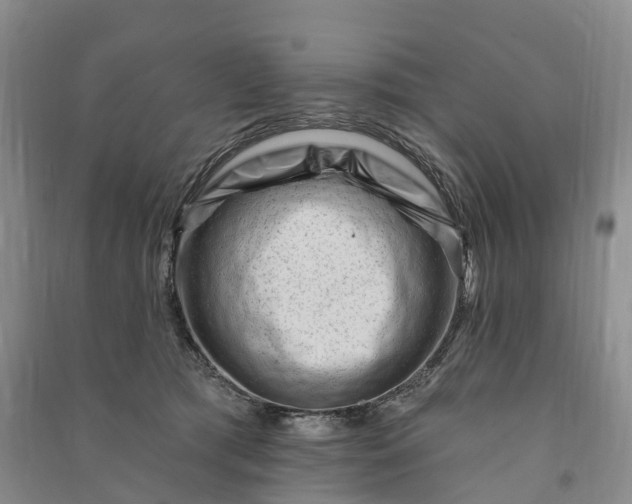 X0000090970417200708161839